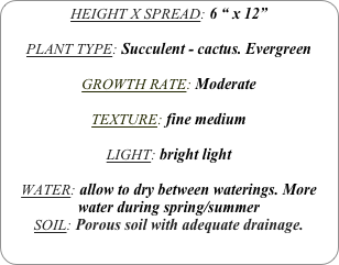 HEIGHT X SPREAD: 6 “ x 12”

PLANT TYPE: Succulent - cactus. Evergreen

GROWTH RATE: Moderate

TEXTURE: fine medium

LIGHT: bright light

WATER: allow to dry between waterings. More water during spring/summer
SOIL: Porous soil with adequate drainage. 
