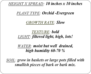 HEIGHT X SPREAD: 10 inches x 10 inches

PLANT TYPE: Orchid -Evergreen

GROWTH RATE: Slow

TEXTURE: bold
LIGHT: filtered light, high, lots!

WATER: moist but well  drained, 
high humidity 60-70 %

SOIL: grow in baskets or large pots filled with smallish pieces of bark or bark mix.
