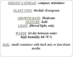 HEIGHT X SPREAD: compact, miniature

PLANT TYPE: Orchid -Evergreen

GROWTH RATE: Moderate
TEXTURE: bold
LIGHT: filtered light, only.

WATER: let dry between water
high humidity 60-70 %

SOIL: small container with bark mix or fast drain media.
