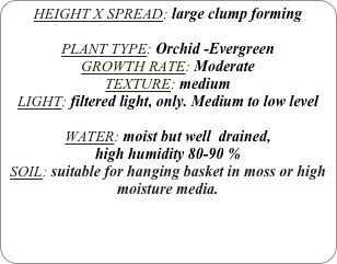 HEIGHT X SPREAD: large clump forming

PLANT TYPE: Orchid -Evergreen
GROWTH RATE: Moderate
TEXTURE: medium
LIGHT: filtered light, only. Medium to low level 

WATER: moist but well  drained, 
high humidity 80-90 %
SOIL: suitable for hanging basket in moss or high moisture media.
